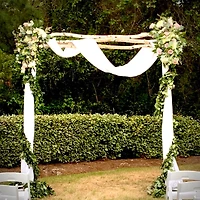 Wilson® Enterprises White Birch Poles