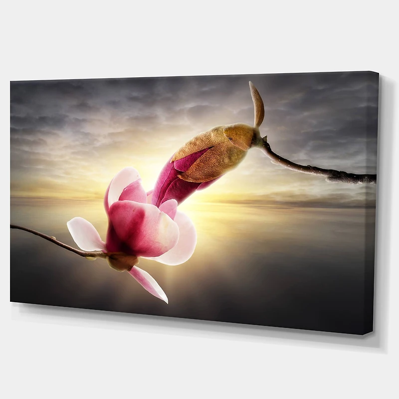 Designart - Beautiful Magnolia Flowers - Large Floral Canvas Art Print