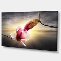 Designart - Beautiful Magnolia Flowers - Large Floral Canvas Art Print