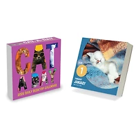 2026 Cat A Day Daily Desktop Calendar