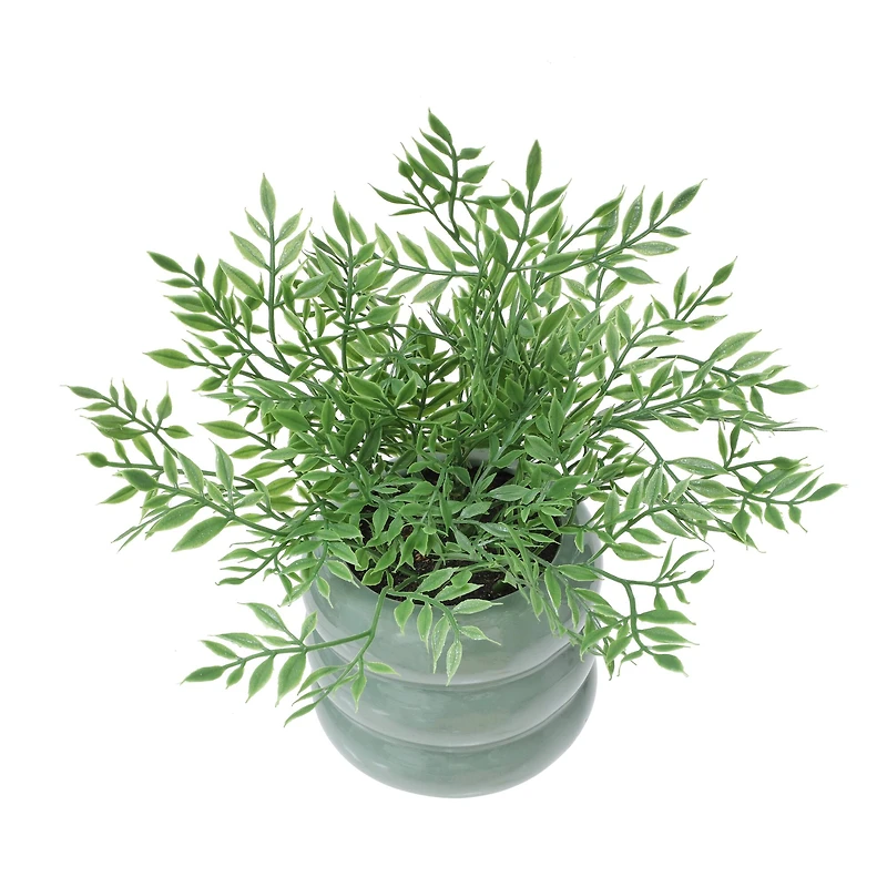 9.5" Mini Ficus in Green Bubble Pot by Ashland®