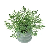 9.5" Mini Ficus in Green Bubble Pot by Ashland®
