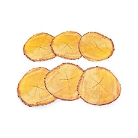 Junior Learning® Nature Trail Educational Floor Stickers