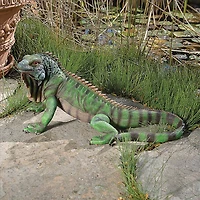 Design Toscano 9.5" Tall Iggy the Iguana Statue