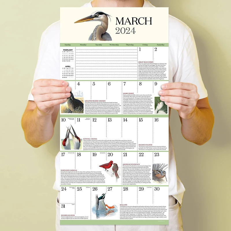 TF Publishing 2024 What It's Like To Be A Bird Wall Calendar
