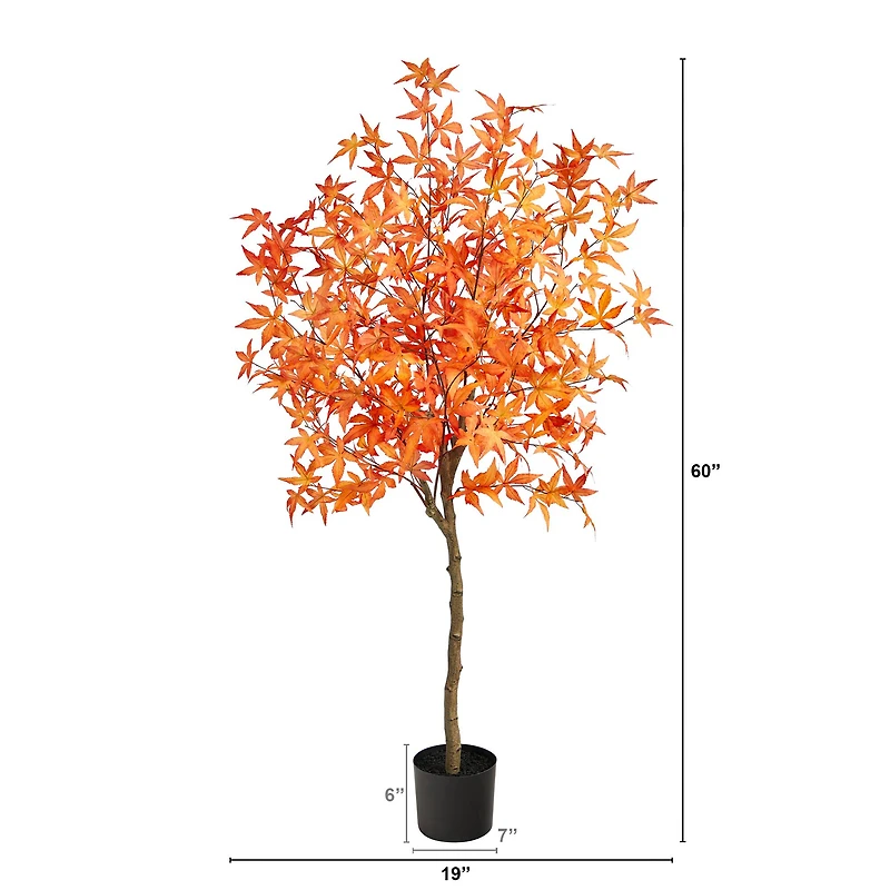 5ft. Potted Orange Autumn Maple Tree