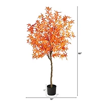 5ft. Potted Orange Autumn Maple Tree