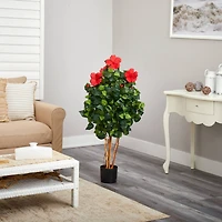 4ft. Potted Red & Green Hibiscus Tree