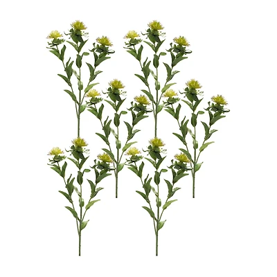 Green Thistle Spray, 6ct.
