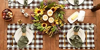 DII® Heavyweight Check Fringed Cotton Placemats