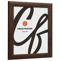 Craig Frames Contemporary Rustic Copper Picture Frame