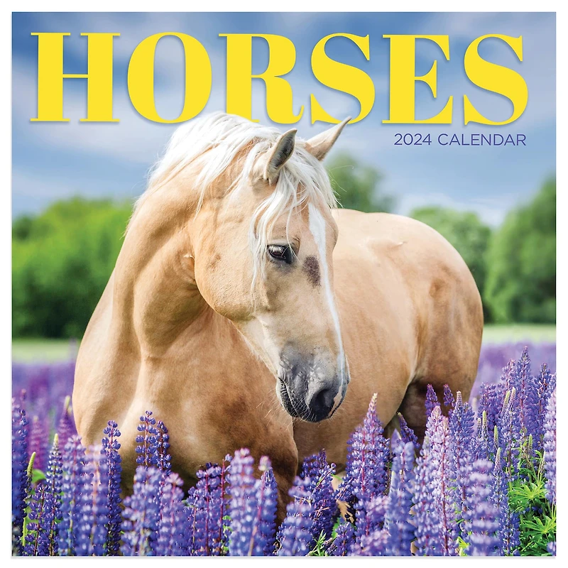 TF Publishing 2024 Horses Mini Calendar