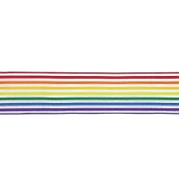 1.5" x 3yd. Rainbow Striped Wired Sheer Ribbon by Celebrate It™ 360°™