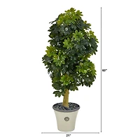 5ft. Umbrella Tree in Decorative Planter