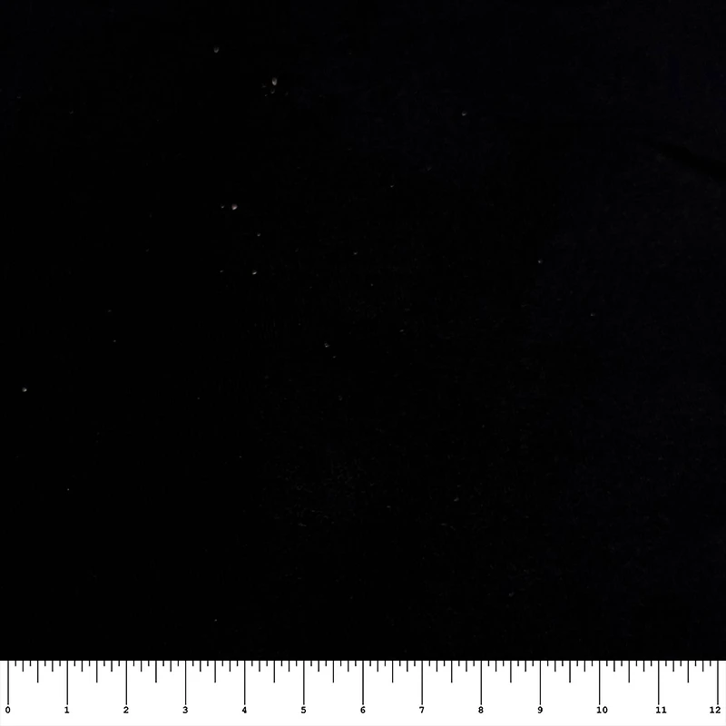 Feldman Black Faux Suede Fabric