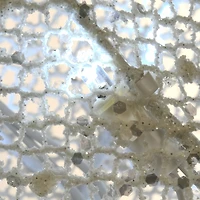 36" Pre-Lit Glittered Fawn