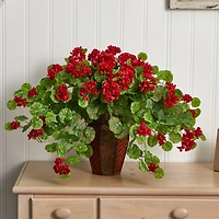 22'' Geranium with Decorative Planter