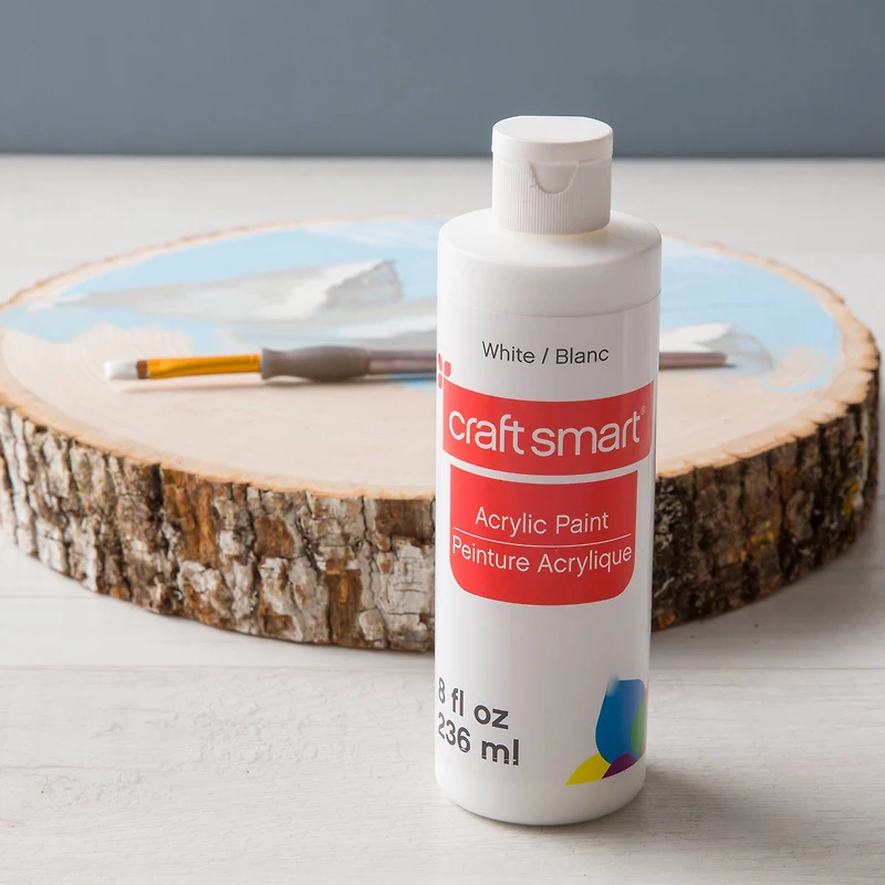 8oz. Acrylic Paint by Craft Smart
