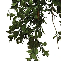 Hello Honey® 6ft. Faux Boxwood Garland
