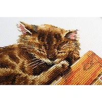 RTO Cat's Dream Cross Stitch Kit