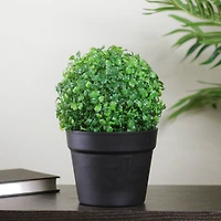 10.5" Artificial Two Tone Green Boxwood Spring Potted Plant