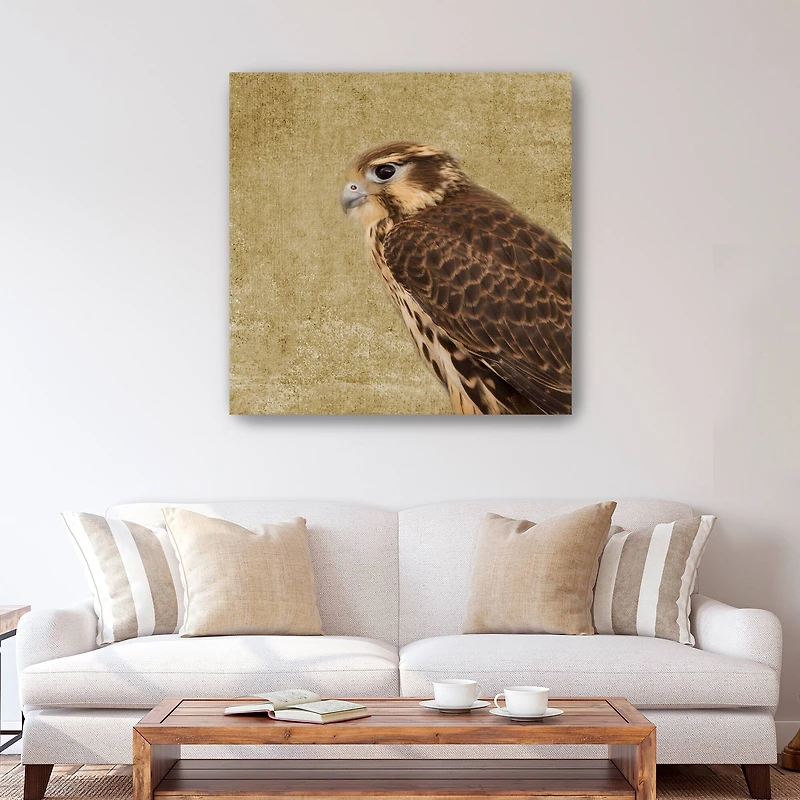 Falcon II Canvas Giclee