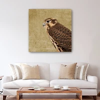 Falcon II Canvas Giclee