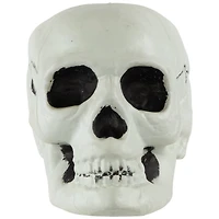 Bag of Skulls Halloween Decorations - 6" - Set of 3