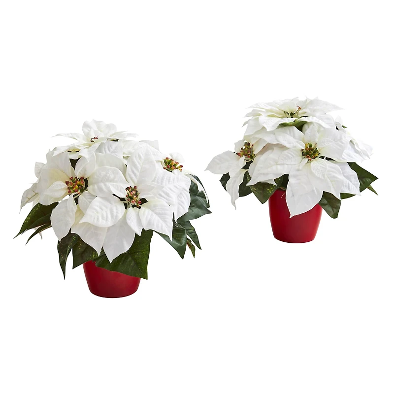 12" Potted White Poinsettia Set