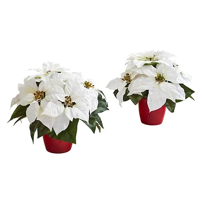 12" Potted White Poinsettia Set