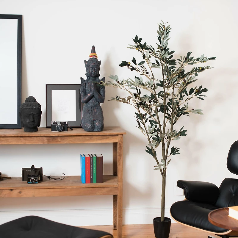 6ft. Potted Olive Tree