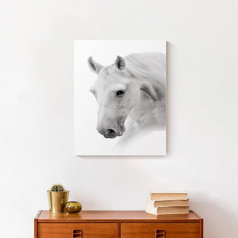 Black And White Horse 16" x 20" Canvas Wall Art