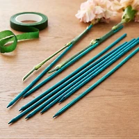 12 Pack: 12" Plant Stakes by Ashland™