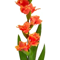 Salmon Gladiolus Flower Stems, 3ct.