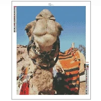 Sparkly Selections Happy Camel Near Petra, Jordan 30cm x 40cm Diamond Painting Kit, Square Diamonds