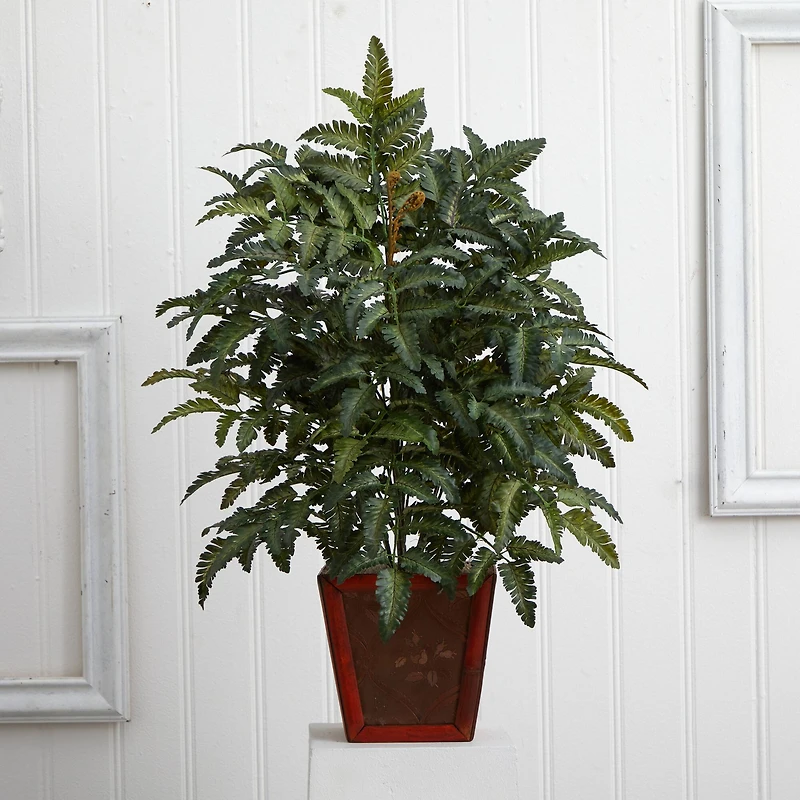 3ft. Bracken Fern in Wooden Planter