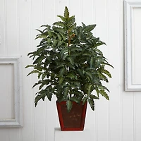 3ft. Bracken Fern in Wooden Planter