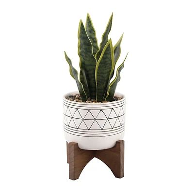 Flora Bunda® 12" Snake Plant In Ceramic On Stand