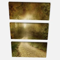 Designart - Country Road Through Fall Scenery