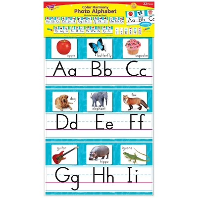 Trend Enterprises® Color Harmony Photo Alphabet Line