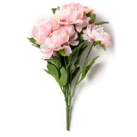 Pink Peony Bush by Ashland®