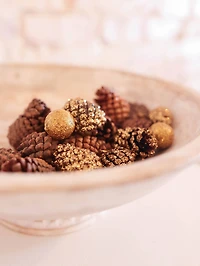 Natural Brown & Gold Pinecone Mix by Ashland®