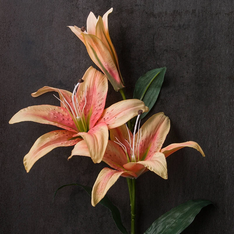 12 Pack: Flame Casablanca Lily Stem by Ashland®