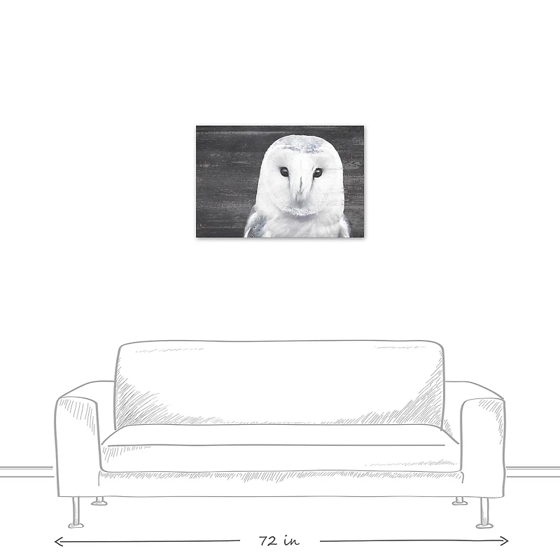 Slate Barn Owl 20" x 30" Canvas Wall Art