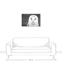 Slate Barn Owl 20" x 30" Canvas Wall Art