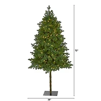 6ft. Pre-Lit Swiss Alpine Artificial Christmas Tree with Clear LED Lights