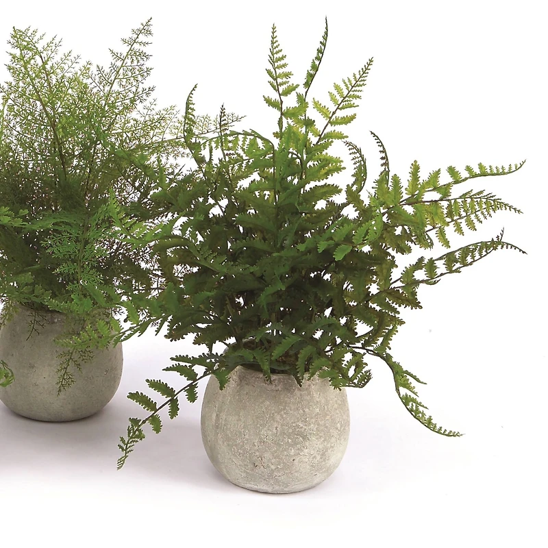 14" Potted Fern Plant in Gray Pot Set