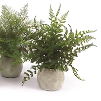 14" Potted Fern Plant in Gray Pot Set