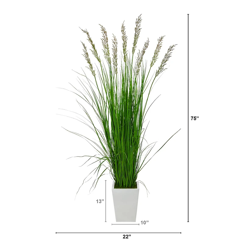 6.25ft. Grass Plant in White Metal Planter