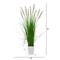6.25ft. Grass Plant in White Metal Planter